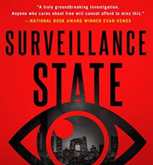 Surveillance State By Liza -Paperback-
