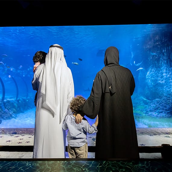 The National Aquarium Abu Dhabi Experiences