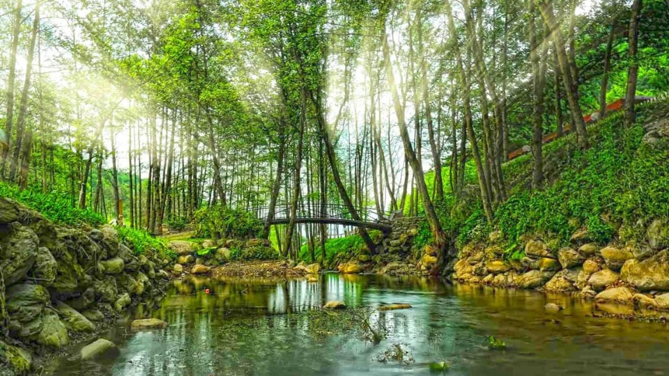 Daily Sapanca and Masukiye Tour: Full-Day Trip From Istanbul - Sightseeing and Tours