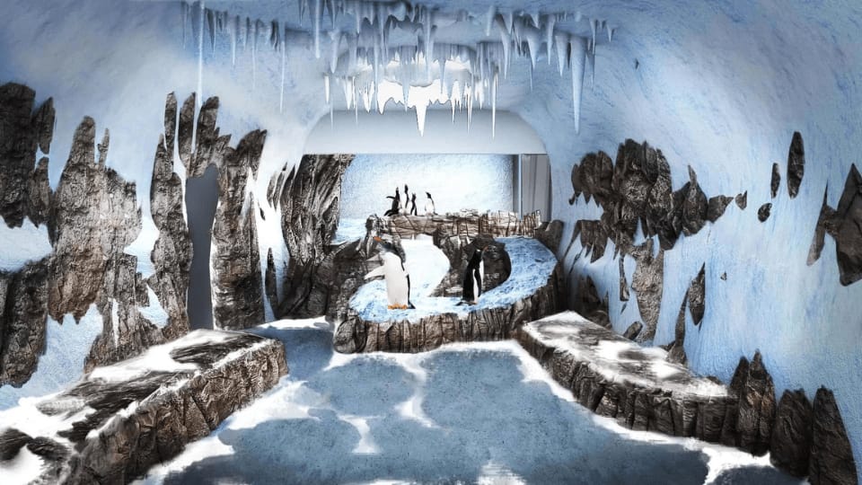 Dubai Aquarium & Underwater Zoo - Penguin Encounter - Recently Added Experiences