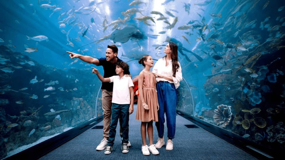 Dubai Aquarium & Underwater Zoo - Ultimate Experience - Recently Added Experiences