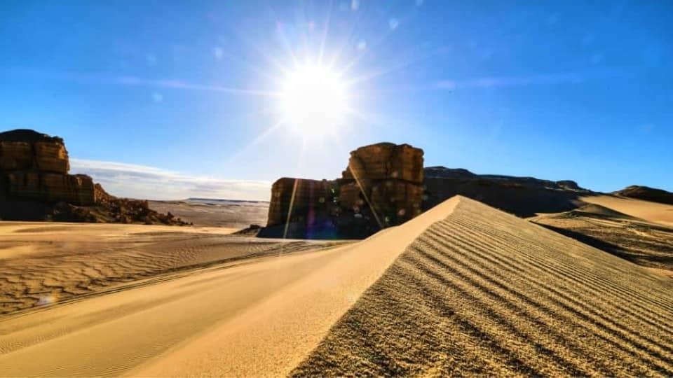 El- Fayoum Oasis with Wadi El Rayyan National Park and Meidum Pyramid from Cairo - Sightseeing and Tours