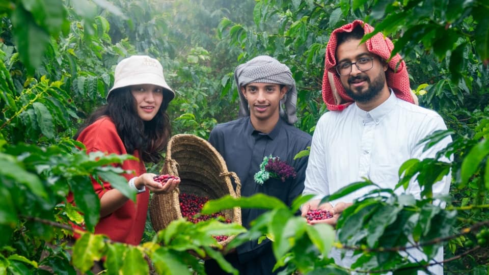From Arabica to Arabian - Coffee Experience at a local farm - Recently Added Experiences