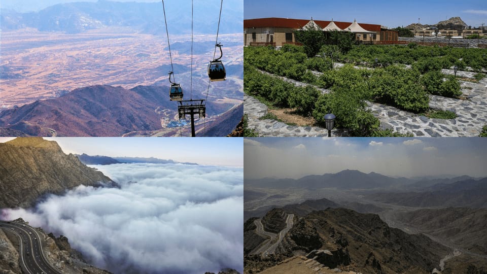 Jeddah: Full Day Taif Tour With Lunch - Recently Added Experiences
