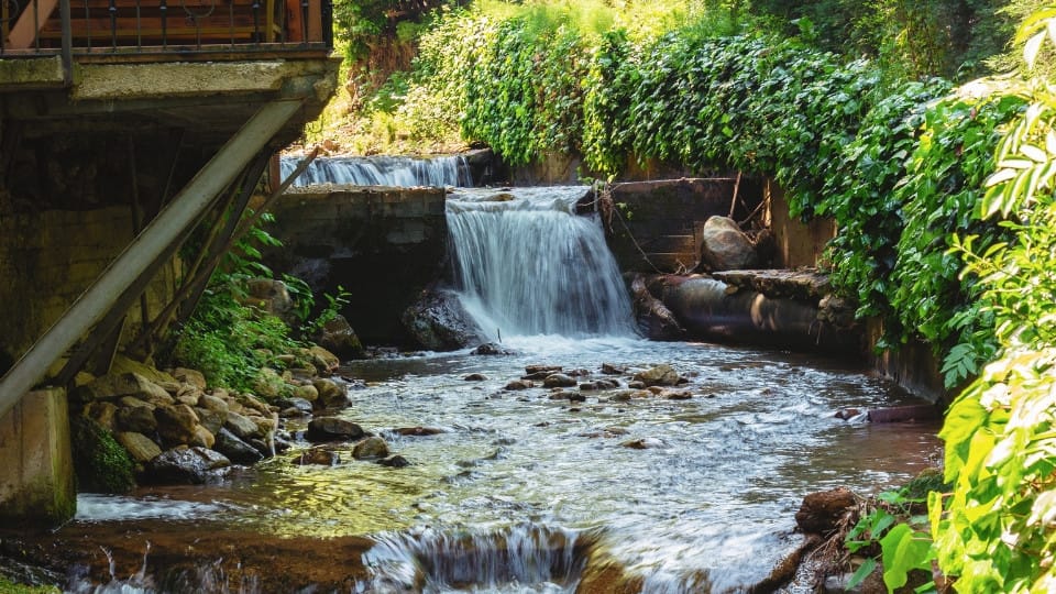 Istanbul: Day Trip to Scenic Sapanca, Masukiye and Kartepe - Recently Added Experiences