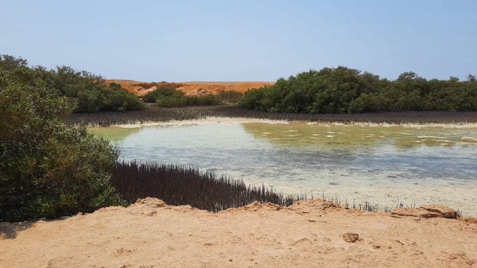 Jeep safari adventure at Nabq National Park with camel ride and dinner - Sightseeing and Tours