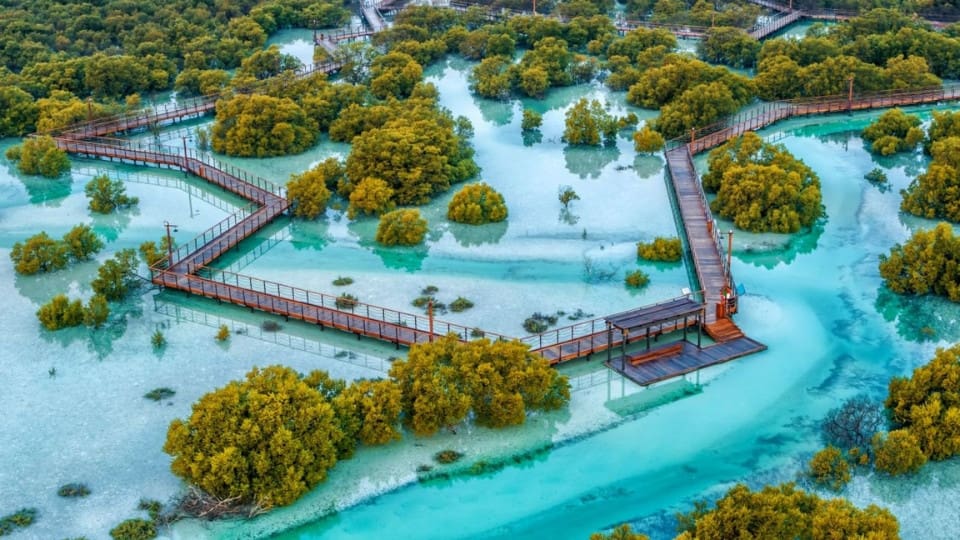 Jubail Mangrove Park - Boardwalk Experience - Recently Added Experiences