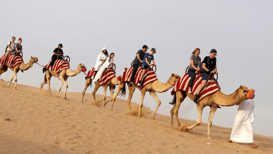 Morning Desert Safari Dubai with Dune Bashing, Sand Boarding & Camel Ride - Desert safaris