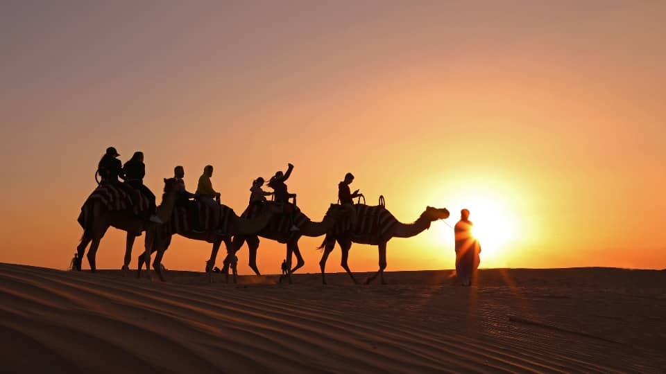 Overnight Red Dune Desert Safari with Dune Bashing, BBQ Dinner & Breakfast - Desert safaris