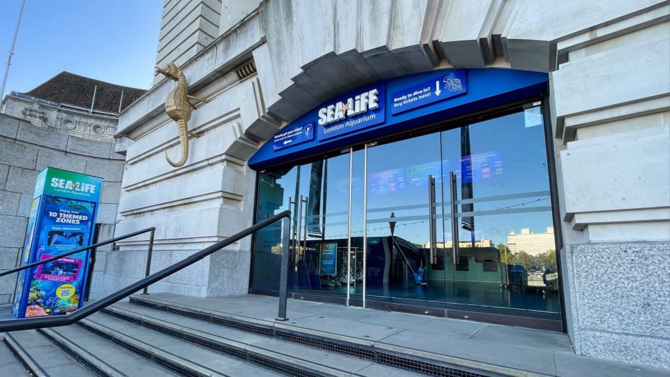 SEA LIFE London Aquarium - Entry Ticket - Top-Rated Attractions