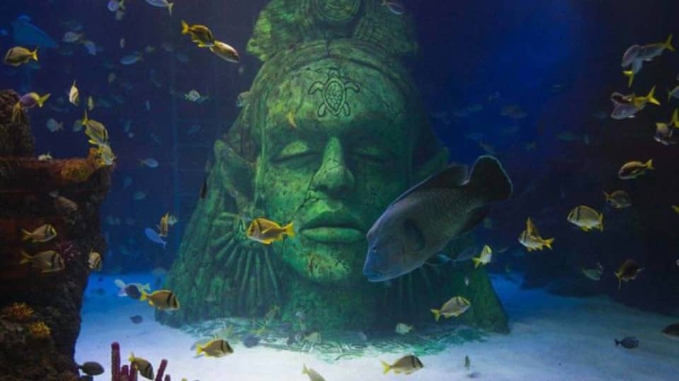 SEA LIFE Manchester Entry Ticket - Theme Parks