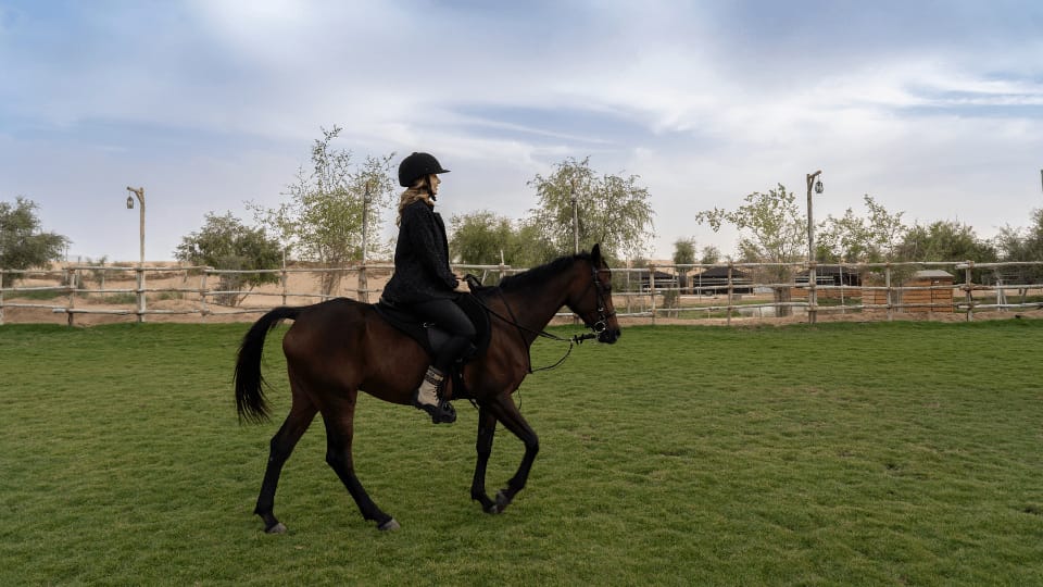 Sunset Horse Riding at Al Marmoom Oasis with a 6-Course Bedouin Dinner - Outdoor Attractions