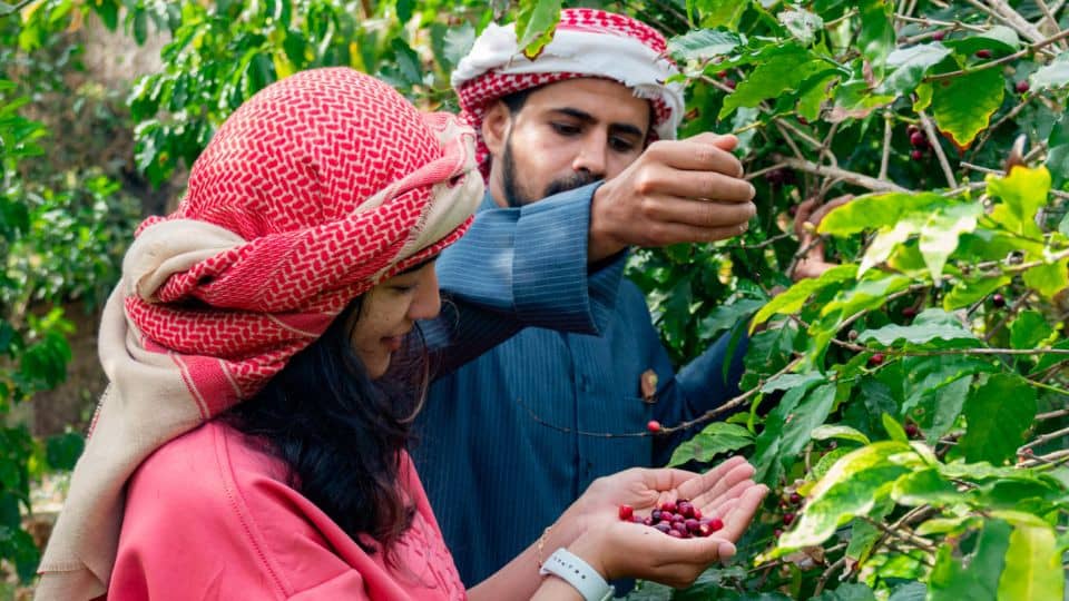 Hike with a local coffee farmer - Recently Added Experiences