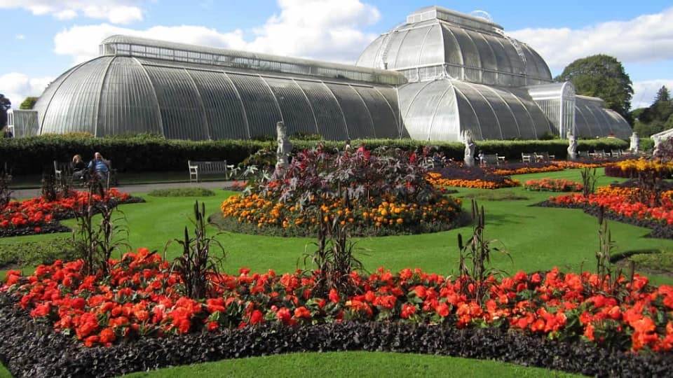 Visit Kew Gardens & 3 Hour Westminster Walking Tour - Recently Added Experiences