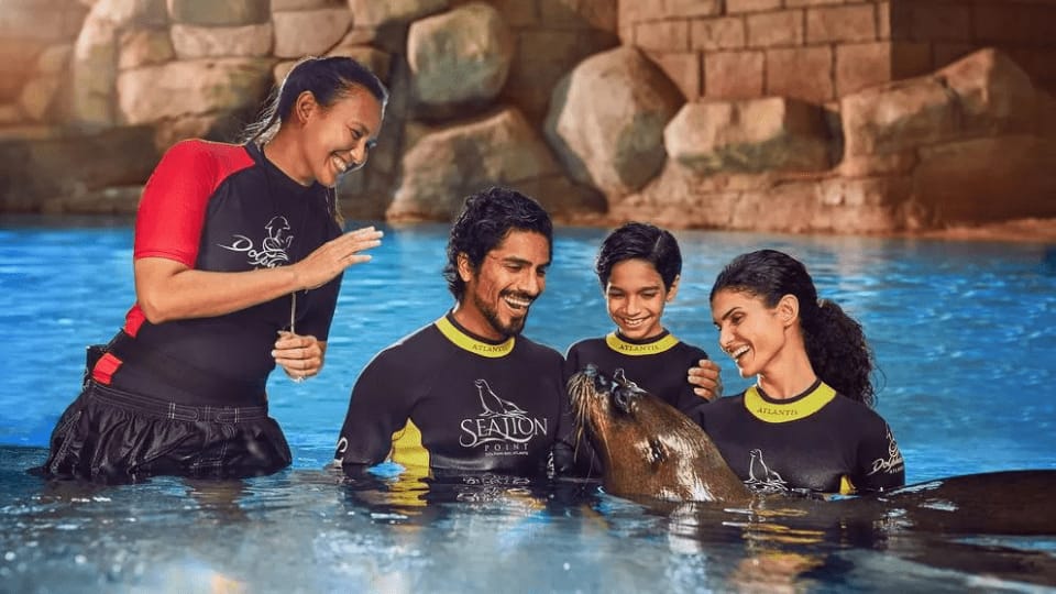 Dolphin Bay Experiences - Water Parks