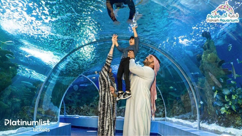 Fakieh Aquarium - Experiences