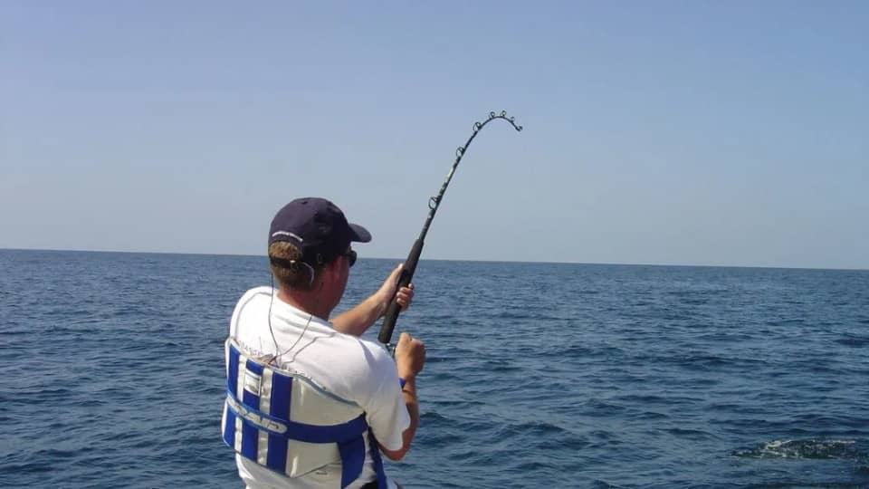 Fishing Tour in Musandam - Sightseeing and Tours