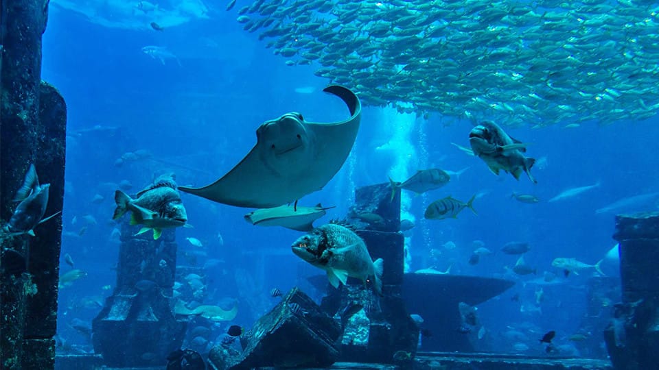 Oman Aquarium - Experiences
