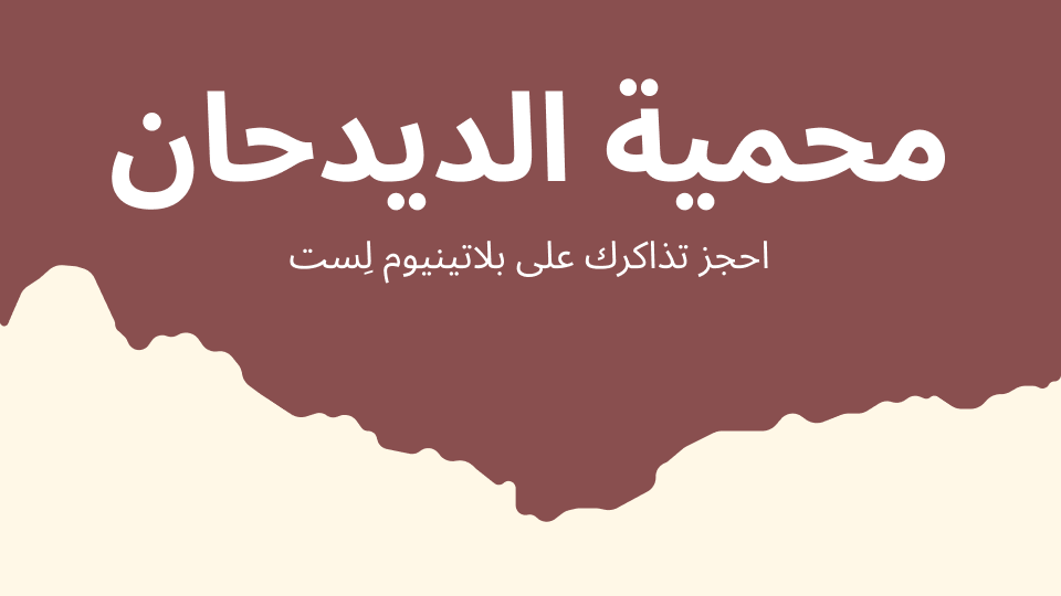 Al-Didhan Reserve - Festival