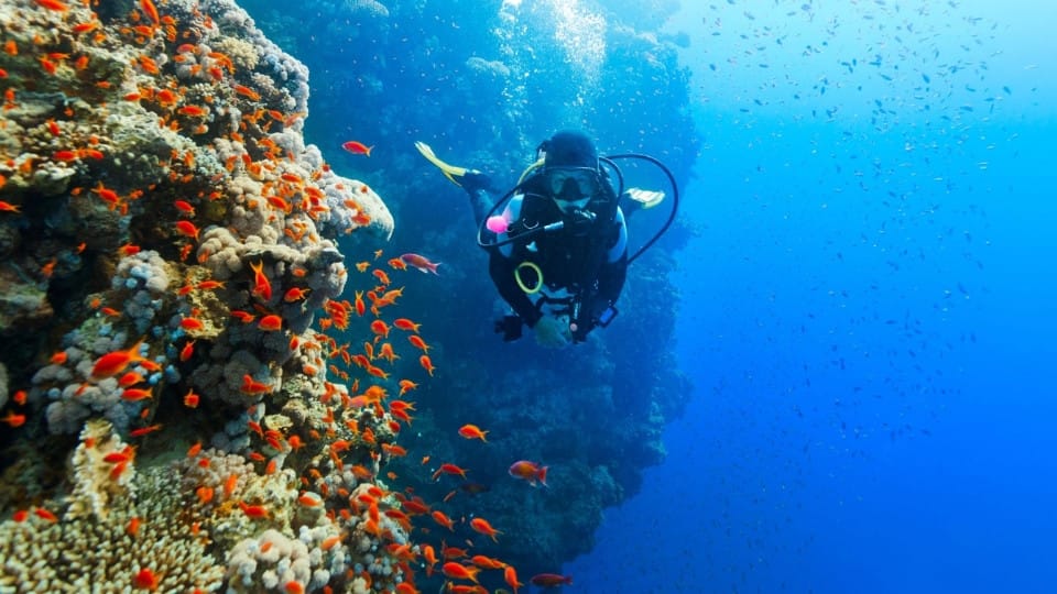 Diving Experience in Khasab - Outdoor Attractions